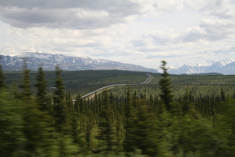 img_0203.jpg