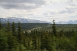thumbs/img_0203.jpg