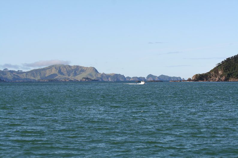 img_5891.jpg